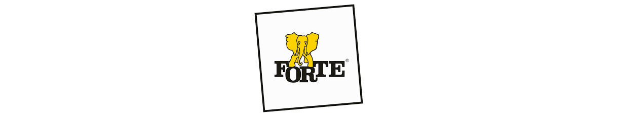 Meble z różnych kolekcji producenta Forte.